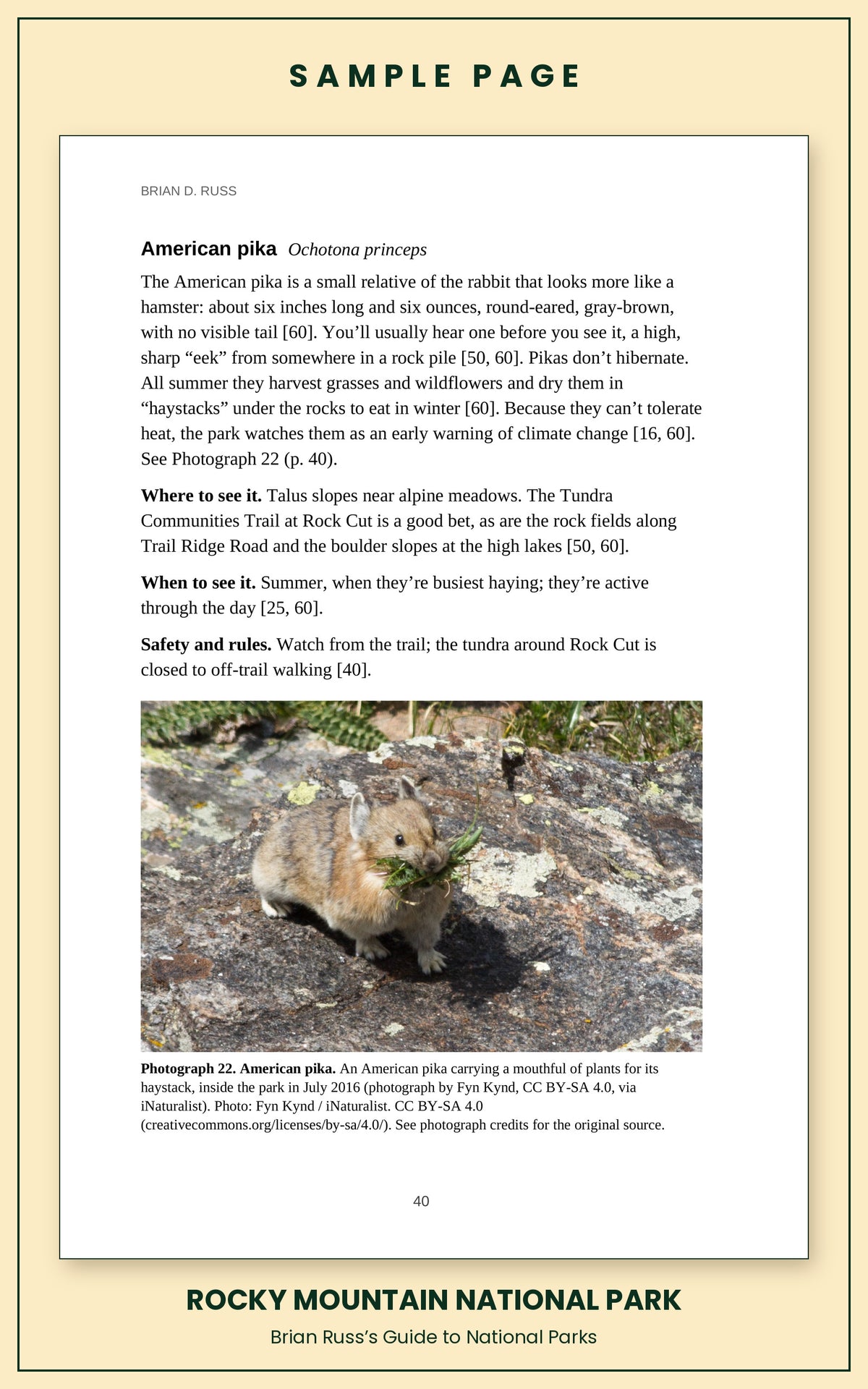 Sample page from the Rocky Mountain National Park guide, wildlife chapter. Entry: American pika, with how to recognize it, where and when to see it, and a photograph.