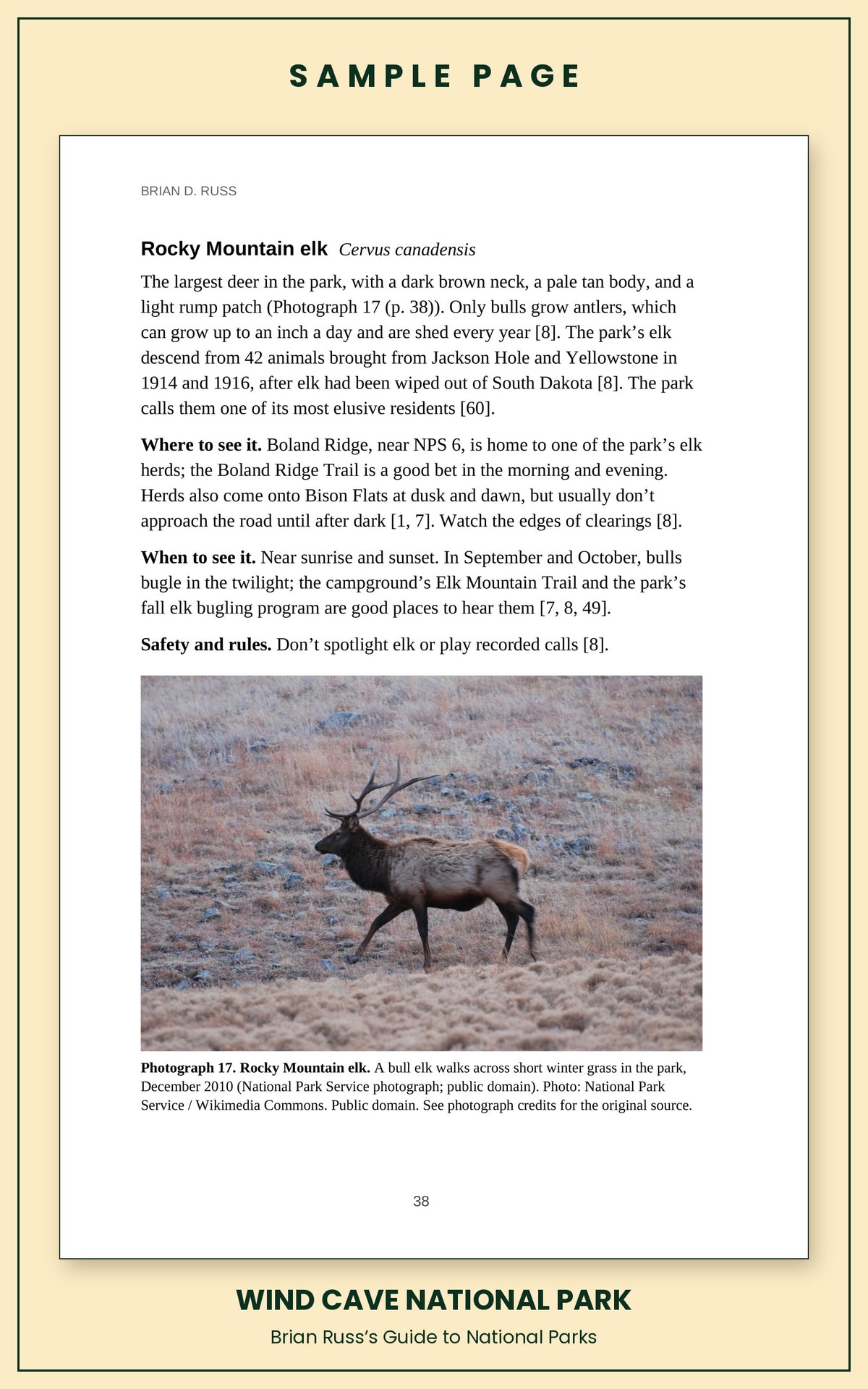 Sample page from the Wind Cave National Park guide, wildlife chapter. Entry: Rocky Mountain elk, with how to recognize it, where and when to see it, and a photograph.