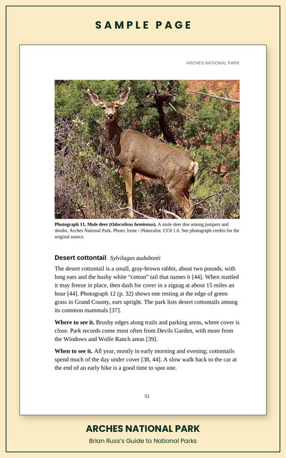 Sample page from the Arches National Park guide, wildlife chapter. Entry: Mule deer, with how to recognize it, where and when to see it, and a photograph.