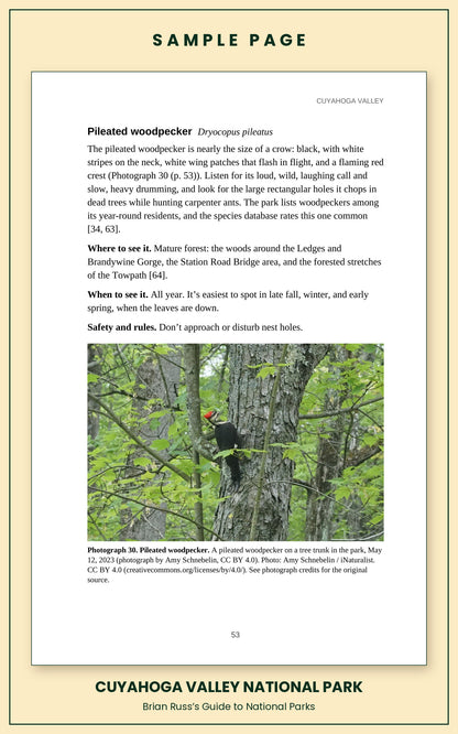 Sample page from the Cuyahoga Valley National Park guide, wildlife chapter. Entry: Pileated woodpecker, with how to recognize it, where and when to see it, and a photograph.
