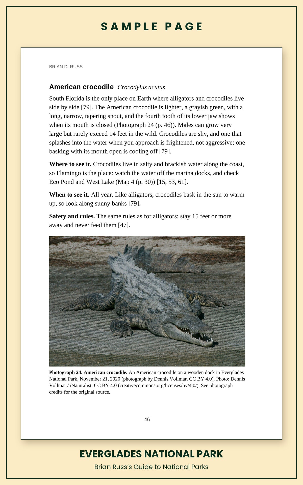 Sample page from the Everglades National Park guide, wildlife chapter. Entry: American crocodile, with how to recognize it, where and when to see it, and a photograph.