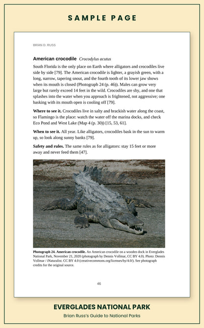 Sample page from the Everglades National Park guide, wildlife chapter. Entry: American crocodile, with how to recognize it, where and when to see it, and a photograph.