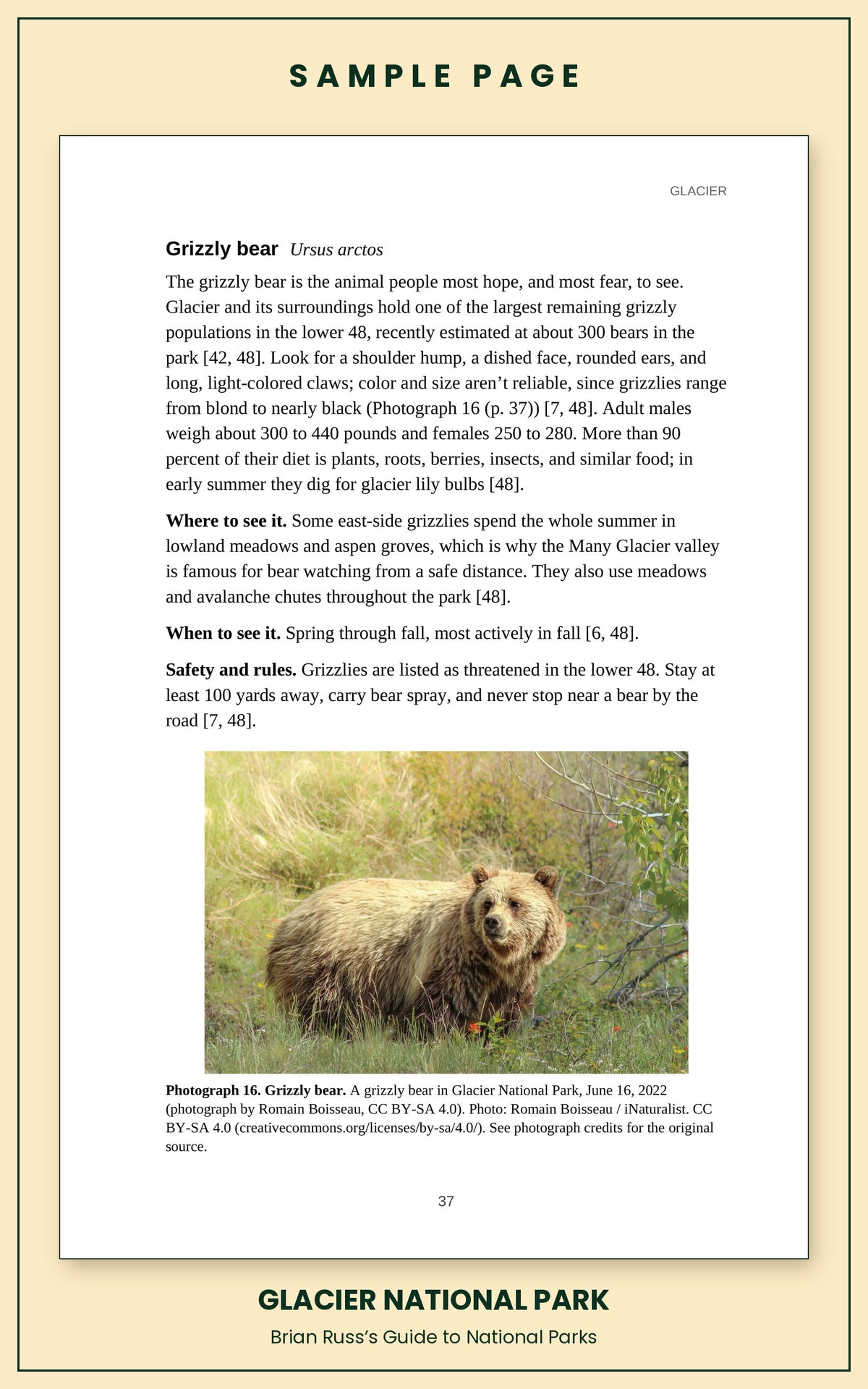 Sample page from the Glacier National Park guide, wildlife chapter. Entry: Grizzly bear, with how to recognize it, where and when to see it, and a photograph.