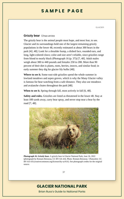 Sample page from the Glacier National Park guide, wildlife chapter. Entry: Grizzly bear, with how to recognize it, where and when to see it, and a photograph.