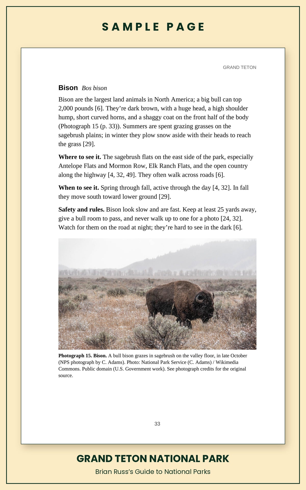 Sample page from the Grand Teton National Park guide, wildlife chapter. Entry: Bison, with how to recognize it, where and when to see it, and a photograph.