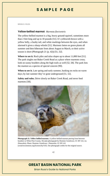 Sample page from the Great Basin National Park guide, wildlife chapter. Entry: Yellow-bellied marmot, with how to recognize it, where and when to see it, and a photograph.