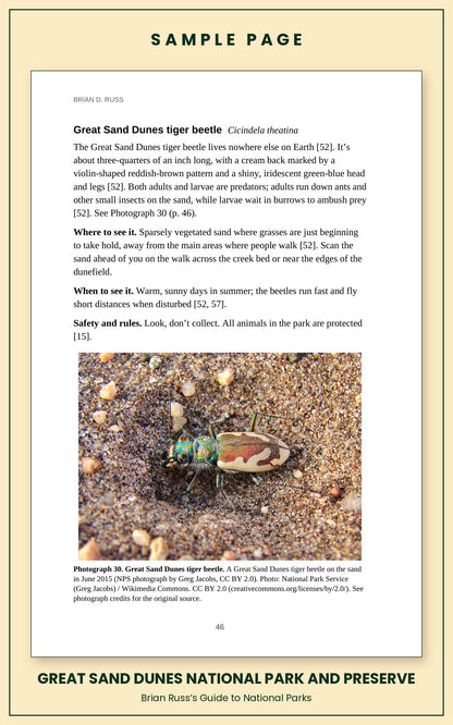 Sample page from the Great Sand Dunes National Park and Preserve guide, wildlife chapter. Entry: Great Sand Dunes tiger beetle, with how to recognize it, where and when to see it, and a photograph.