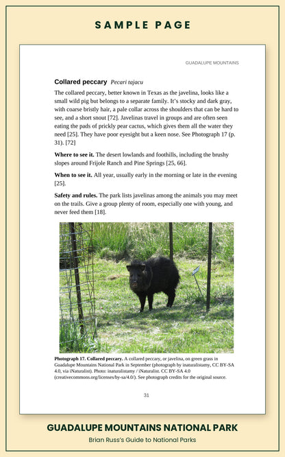 Sample page from the Guadalupe Mountains National Park guide, wildlife chapter. Entry: Collared peccary, with how to recognize it, where and when to see it, and a photograph.