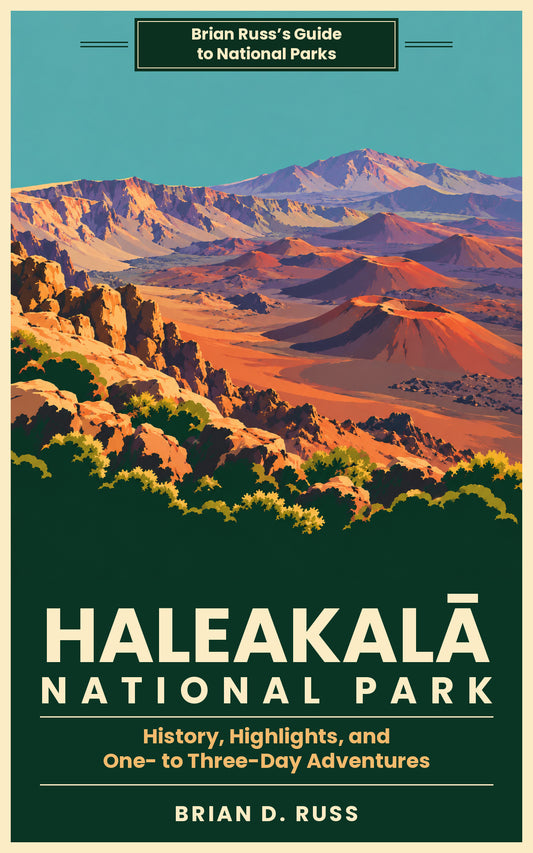 Front cover in a vintage screen-print poster style: the reddish cinder cones of Haleakalā's summit crater spread across a sunlit valley below the crater walls, with a distant mountain under a teal sky and golden rocks and shrubs in the foreground, above the title Haleakalā National Park.