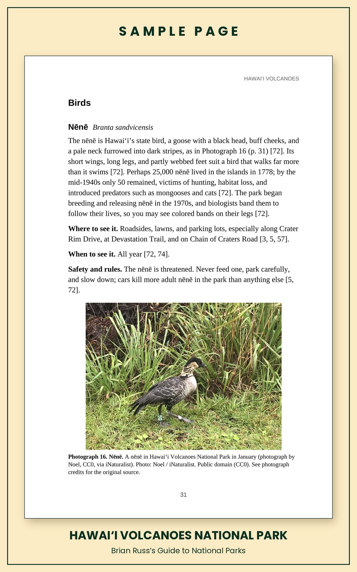 Sample page from the Hawaiʻi Volcanoes National Park guide, wildlife chapter. Entry: Nēnē, with how to recognize it, where and when to see it, and a photograph.