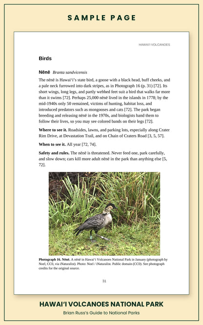 Sample page from the Hawaiʻi Volcanoes National Park guide, wildlife chapter. Entry: Nēnē, with how to recognize it, where and when to see it, and a photograph.