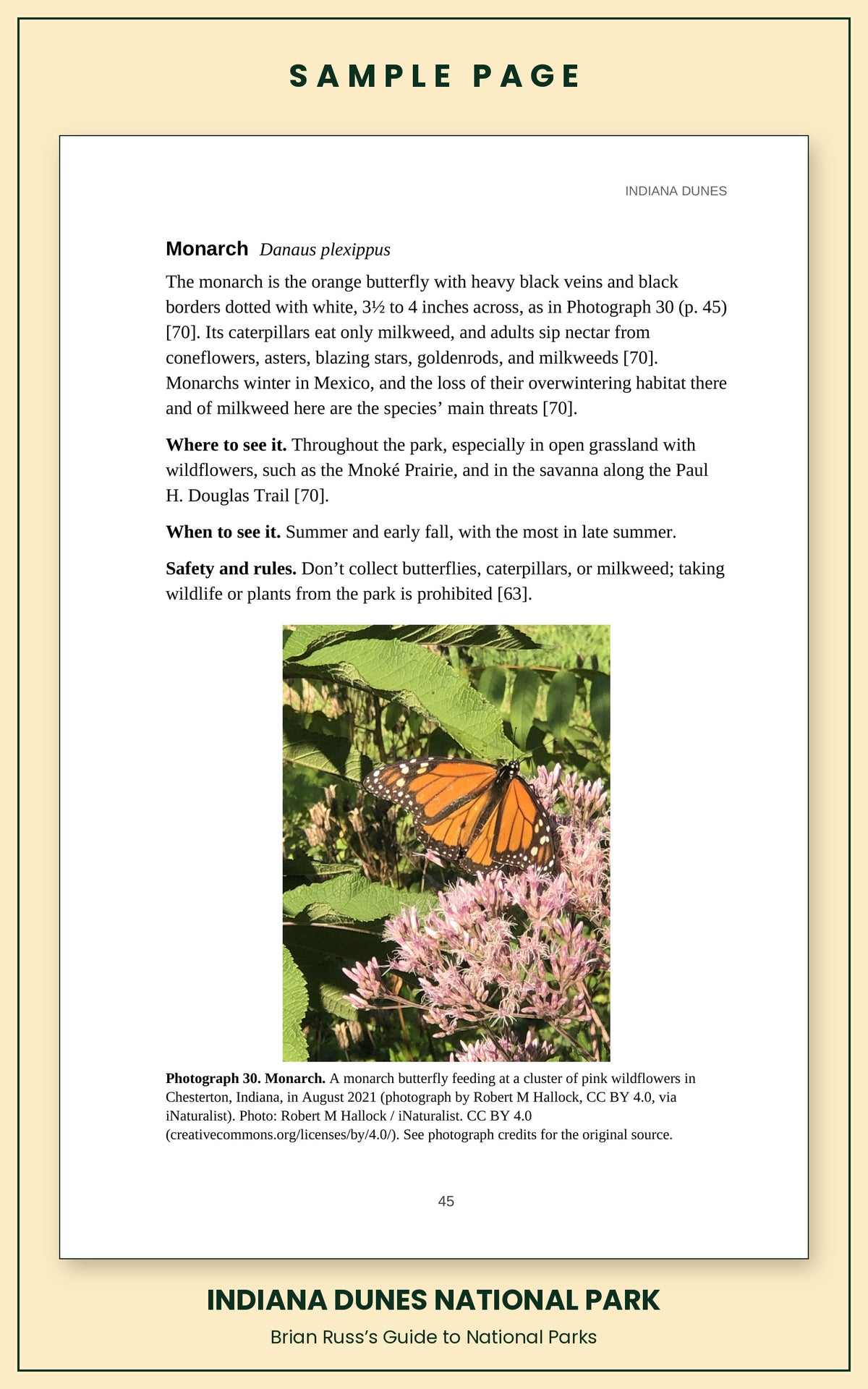 Sample page from the Indiana Dunes National Park guide, wildlife chapter. Entry: Monarch, with how to recognize it, where and when to see it, and a photograph.