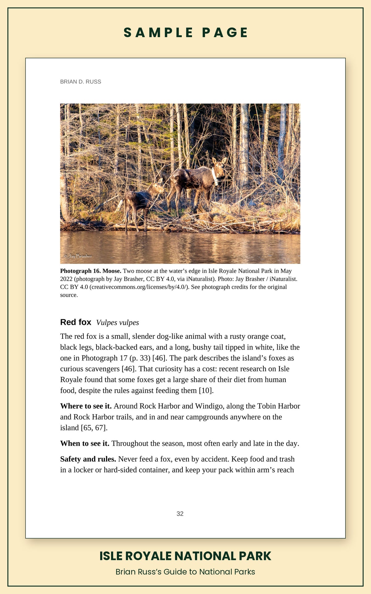 Sample page from the Isle Royale National Park guide, wildlife chapter: a photograph of two moose at the water's edge, followed by the red fox entry with how to recognize it and where and when to see it.