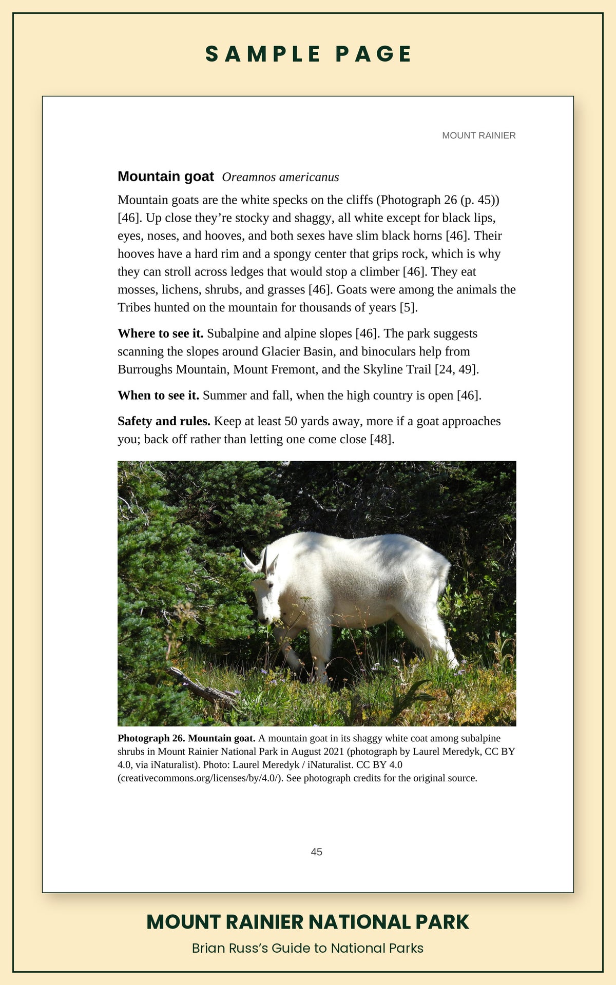 Sample page from the Mount Rainier National Park guide, wildlife chapter. Entry: Mountain goat, with how to recognize it, where and when to see it, and a photograph.