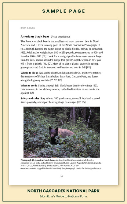 Sample page from the North Cascades National Park guide, wildlife chapter. Entry: American black bear, with how to recognize it, where and when to see it, and a photograph.