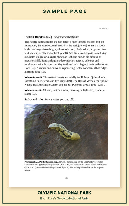 Sample page from the Olympic National Park guide, wildlife chapter. Entry: Pacific banana slug, with how to recognize it, where and when to see it, and a photograph.