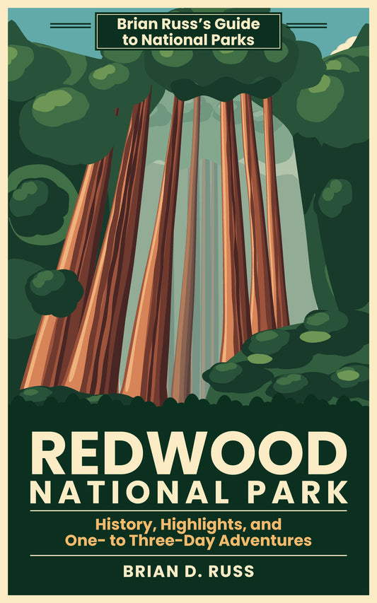 Illustrated cover in vintage travel-poster style: towering red-brown coast redwood trunks rising through a fern-covered forest floor, shafts of light and pale fog between them, under a teal sky, above the title Redwood National Park.