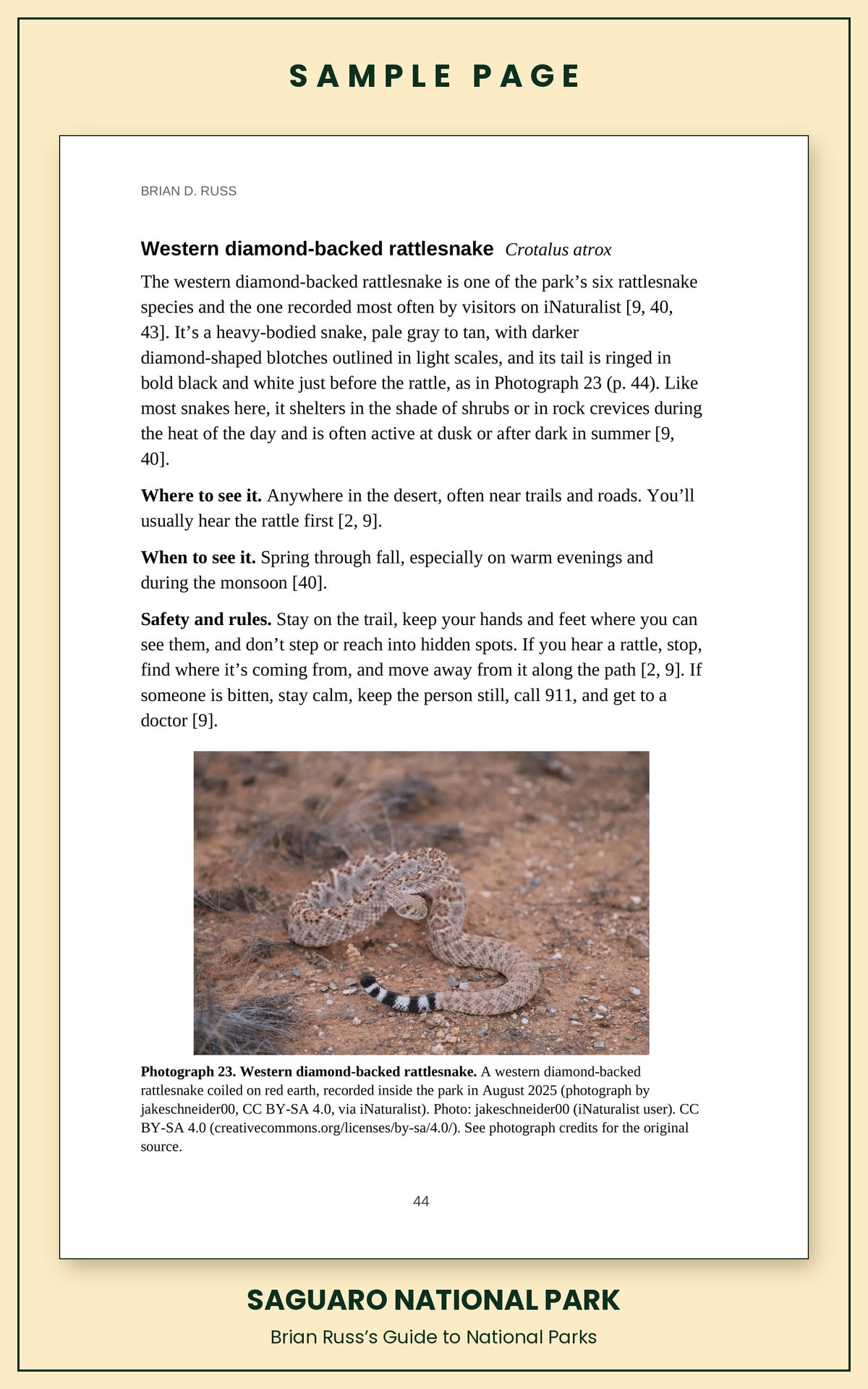 Sample page from the Saguaro National Park guide, wildlife chapter. Entry: Western diamond-backed rattlesnake, with how to recognize it, where and when to see it, and a photograph.