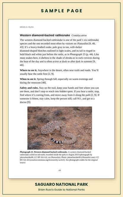 Sample page from the Saguaro National Park guide, wildlife chapter. Entry: Western diamond-backed rattlesnake, with how to recognize it, where and when to see it, and a photograph.