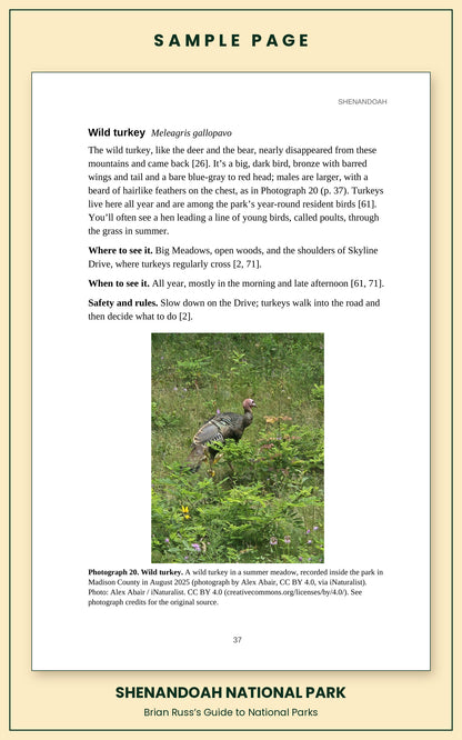 Sample page from the Shenandoah National Park guide, wildlife chapter. Entry: Wild turkey, with how to recognize it, where and when to see it, and a photograph.