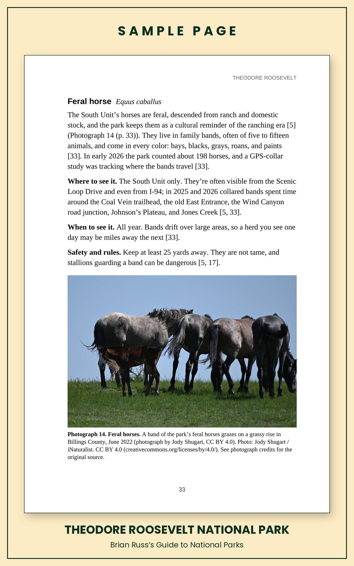 Sample page from the Theodore Roosevelt National Park guide, wildlife chapter. Entry: Feral horses, with how to recognize it, where and when to see it, and a photograph.