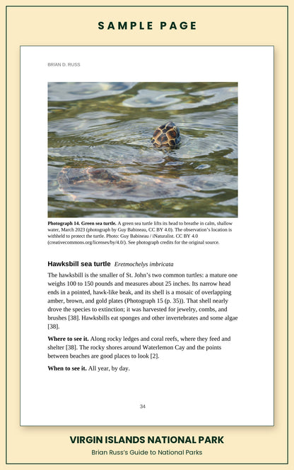Sample page from the Virgin Islands National Park guide, wildlife chapter: a photograph of a green sea turtle surfacing to breathe, followed by the full Hawksbill sea turtle entry, with how to recognize it and where and when to see it.
