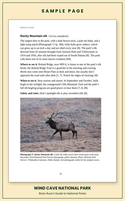 Sample page from the Wind Cave National Park guide, wildlife chapter. Entry: Rocky Mountain elk, with how to recognize it, where and when to see it, and a photograph.